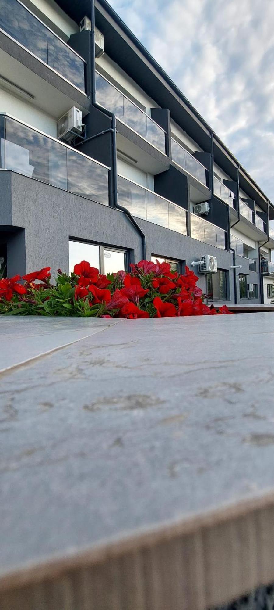 Anelisse Apartments Észak-Eforie Kültér fotó